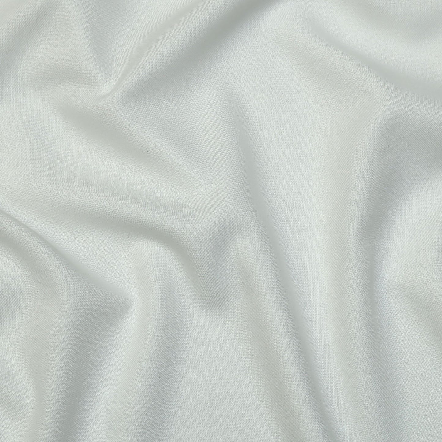 Hajib Premium-Egg White